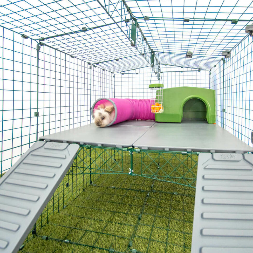 Omlet Zippi parc pour lapins avec Zippi plateformes, abri vert Zippi, Zippi tunnel de jeu et lapin