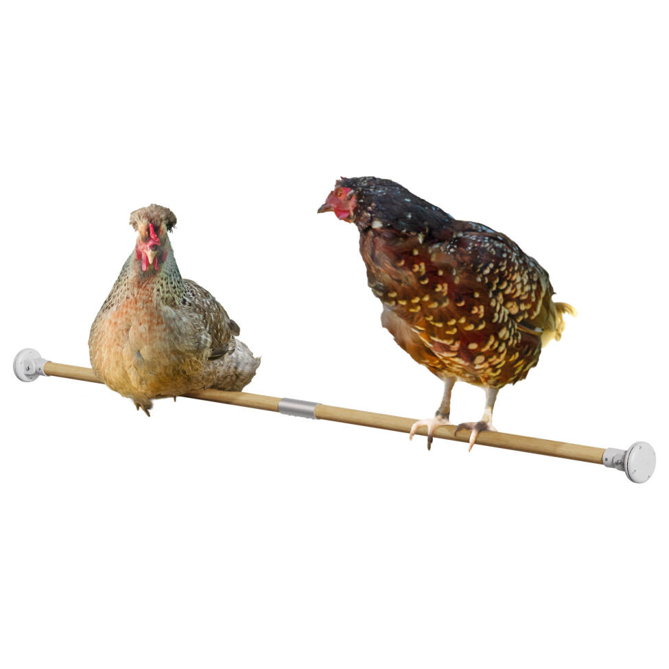 Doppelhühnerstange