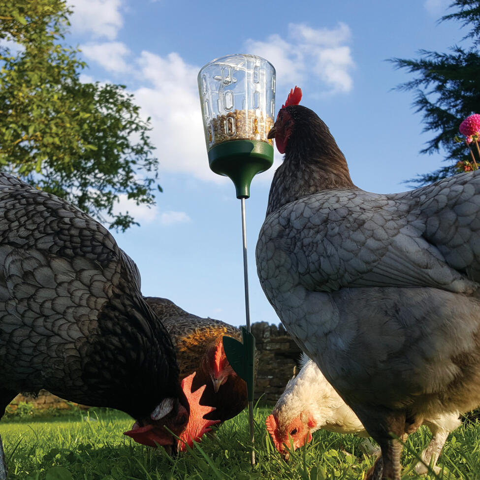 Poppy knabberspielzeug entworfen von Omlet