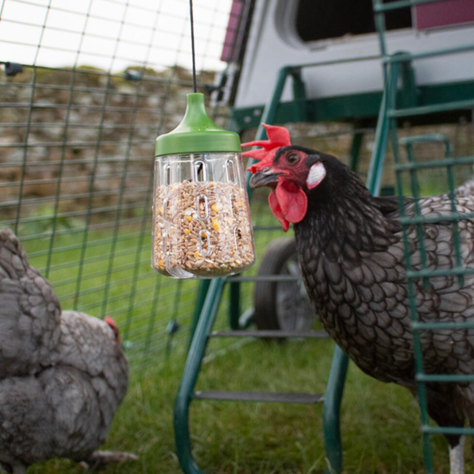 Pendant knabberspielzeug entworfen von Omlet