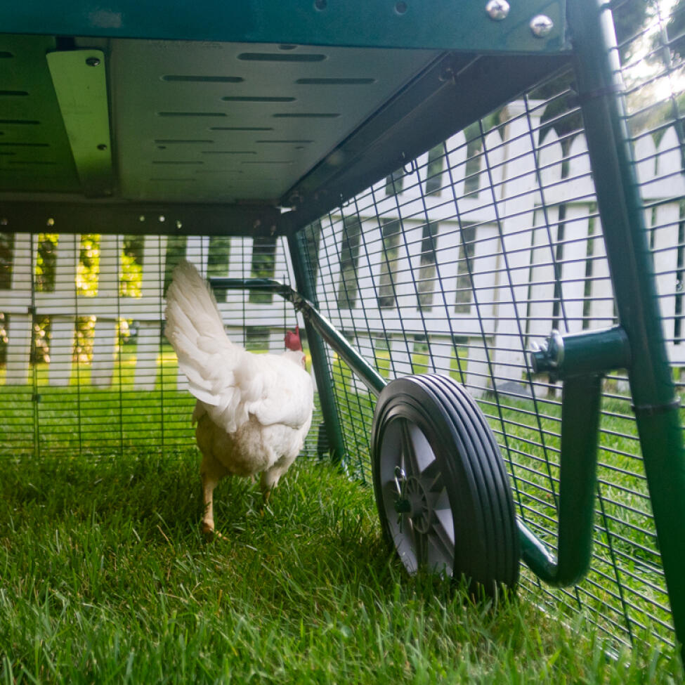 Eglu Cube large chicken coop run with wheels