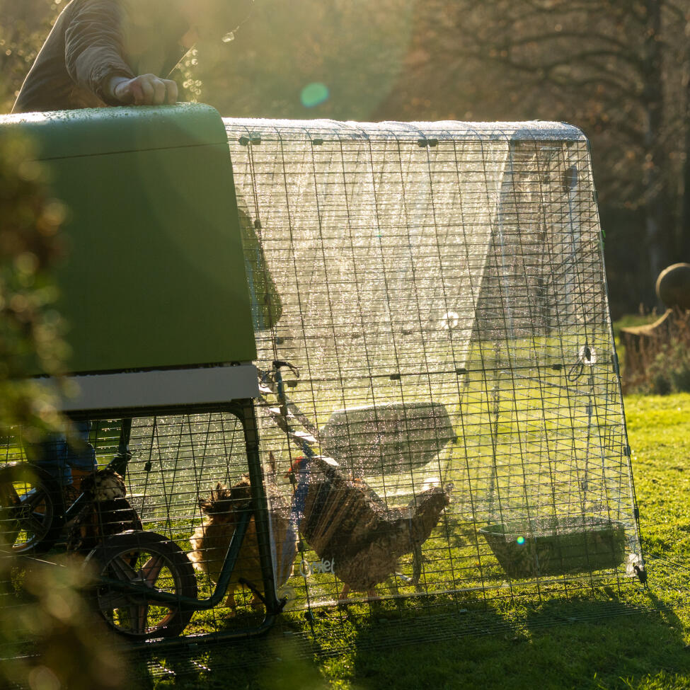 Eglu Go omhoog kippenhok met ren helder deksel