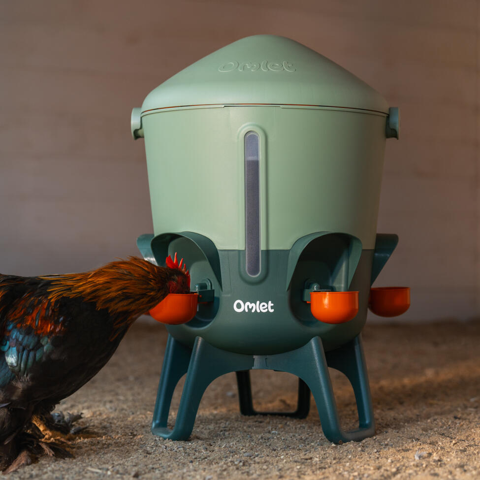 Abreuvoir robuste pour poulets, livré avec Gobelets et tétines