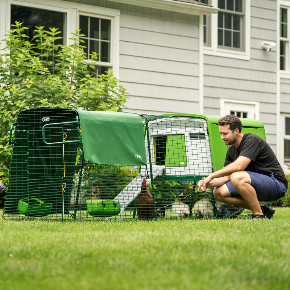 Uomo che osserva le sue galline nel pollaio Eglu Cube resistente ai predatori