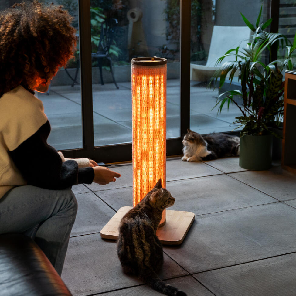Une femme et son chat interagissent avec le griffoir Switch illuminé