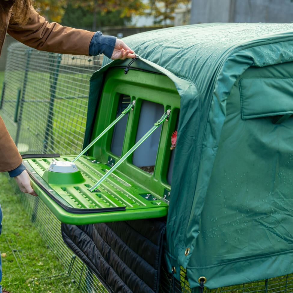 Veste pour températures extrêmes pour Eglu pro grand poulailler