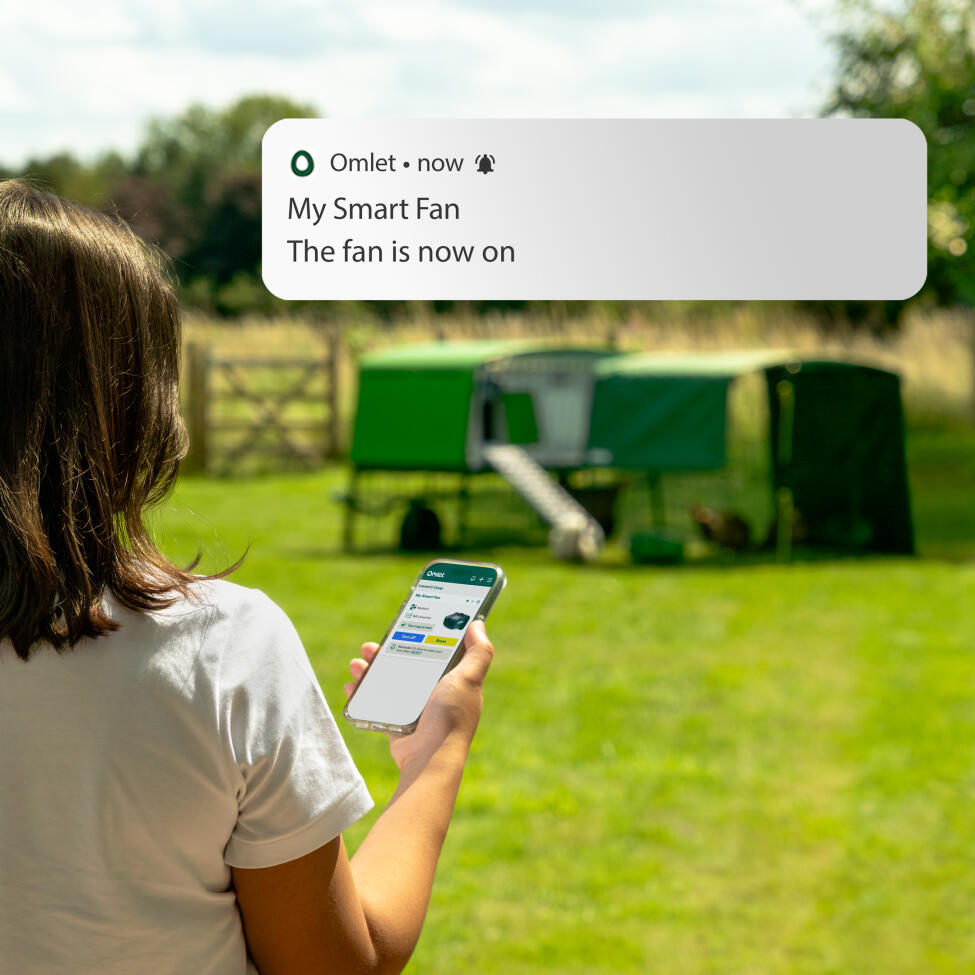 A woman holding her phone in front of the Eglu pro chicken coop showing her Omlet app screen with a notification