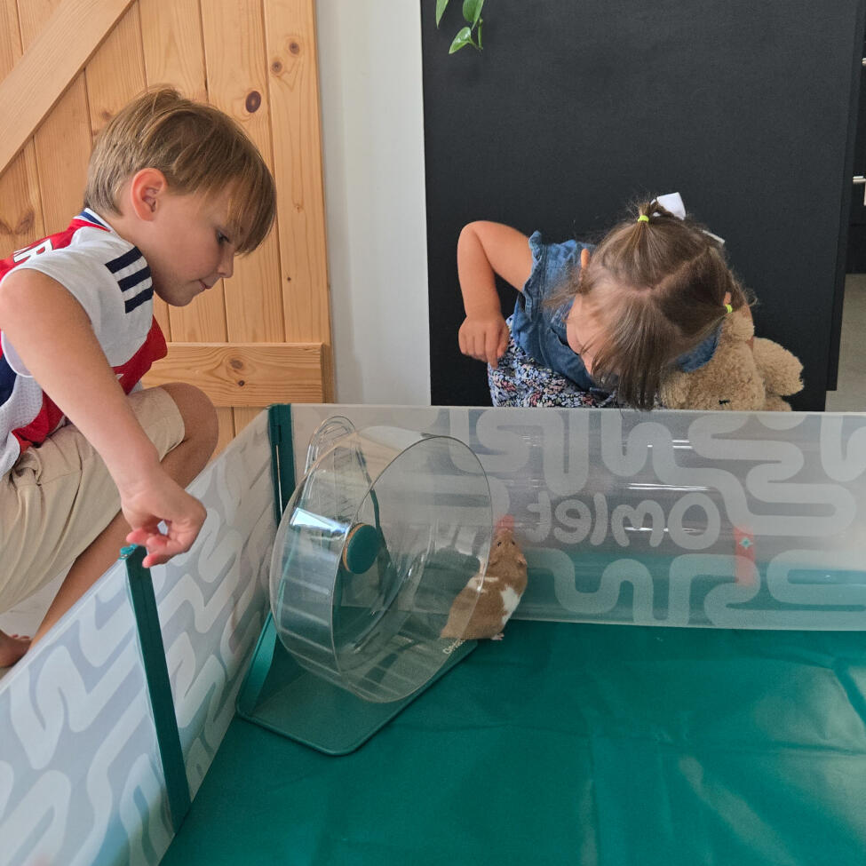 Jouant dans un parc à hamster