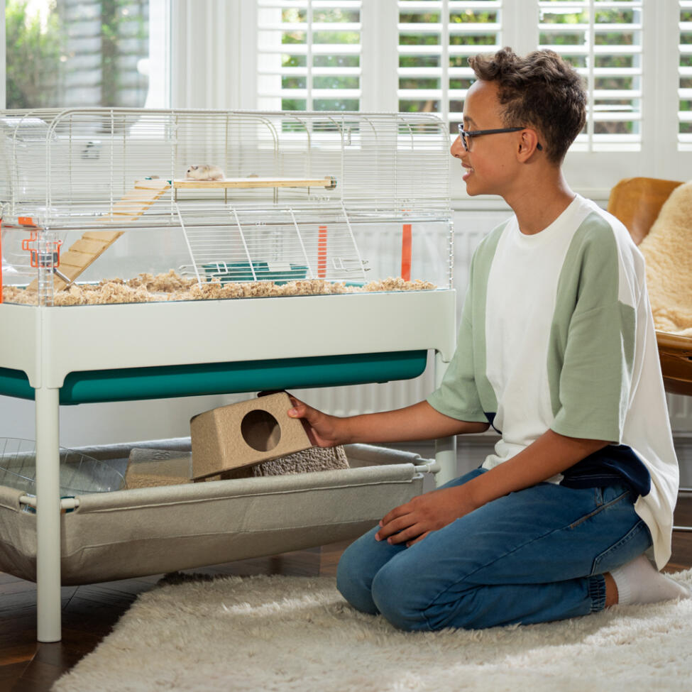 En ung pojke som tar en komposterbar gömma från den återvunna förvaringskorgen