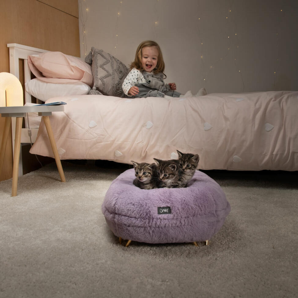 toddler looking at her kittens sleeping in their soft donut cat bed
