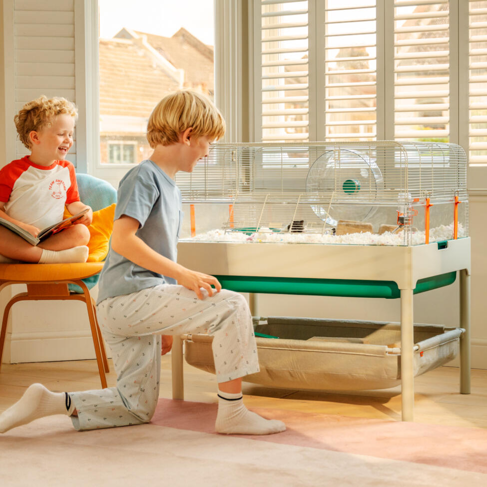 Två unga pojkar som tittar på sin hamster i den rymliga Omlet hamsterburen