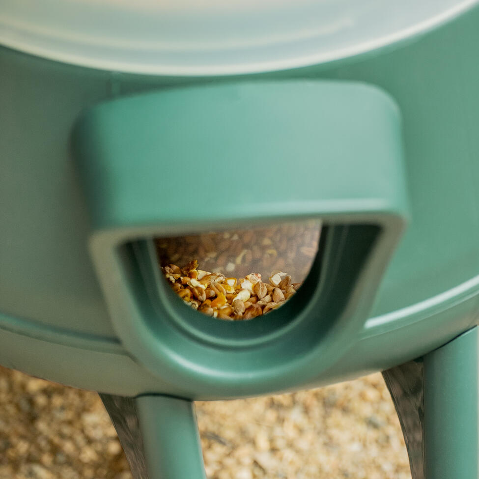 detail of feeding port on omlet no waste chicken feeder