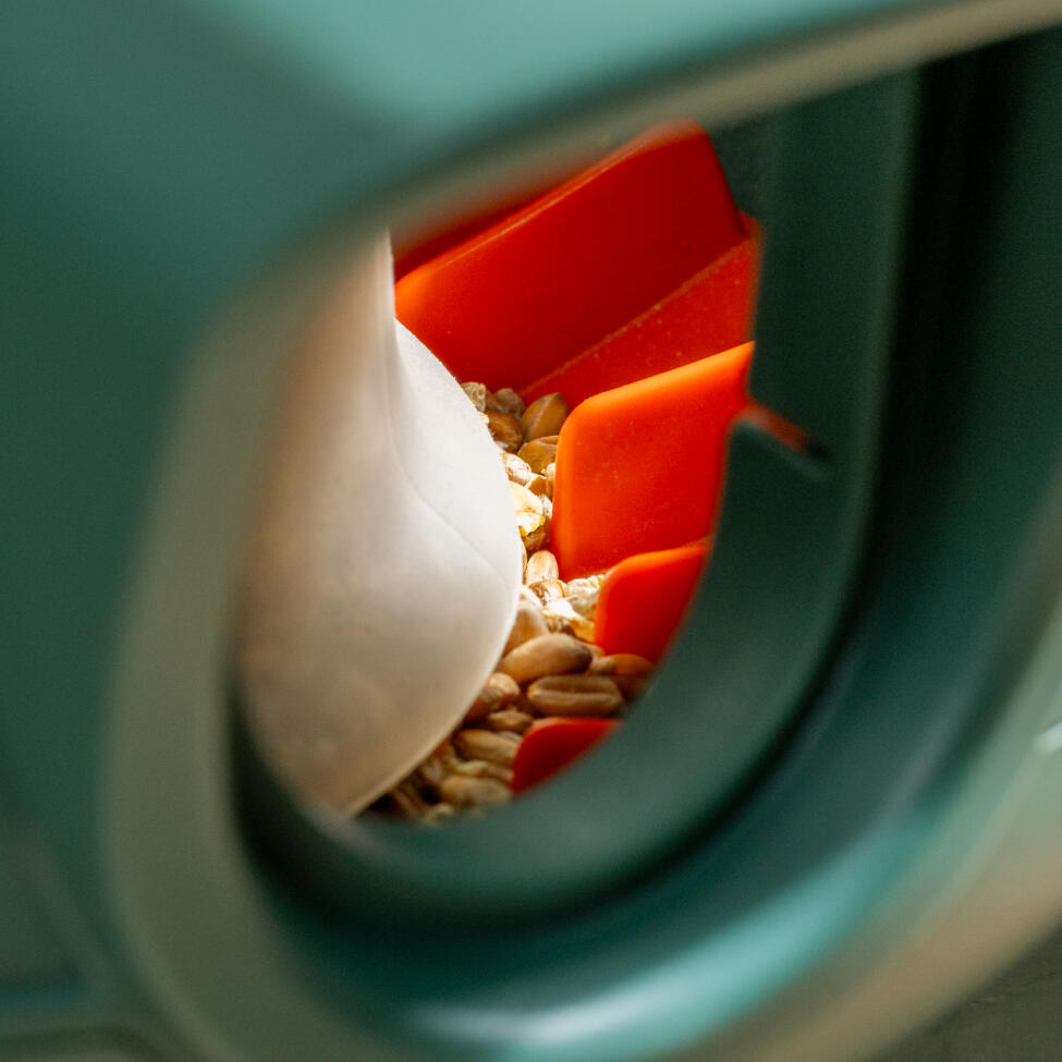 No waste kippenvoerautomaat met debietregelaar