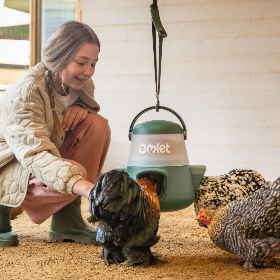 A young girl stroking a chicken next to the Omlet no waste chicken feeder - 6lb.
