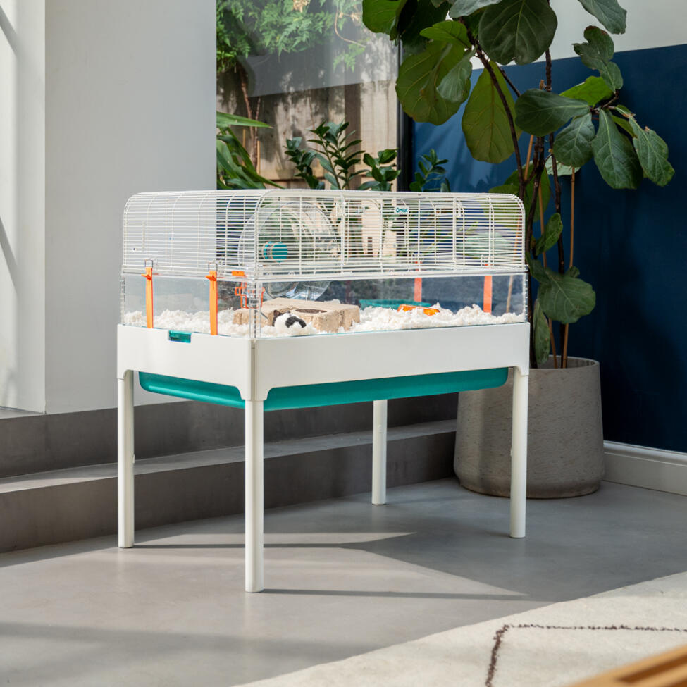 The Omlet hamster cage inside of a frame