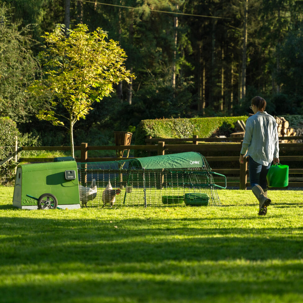 smart automatic coop door opener for eglu go and go up