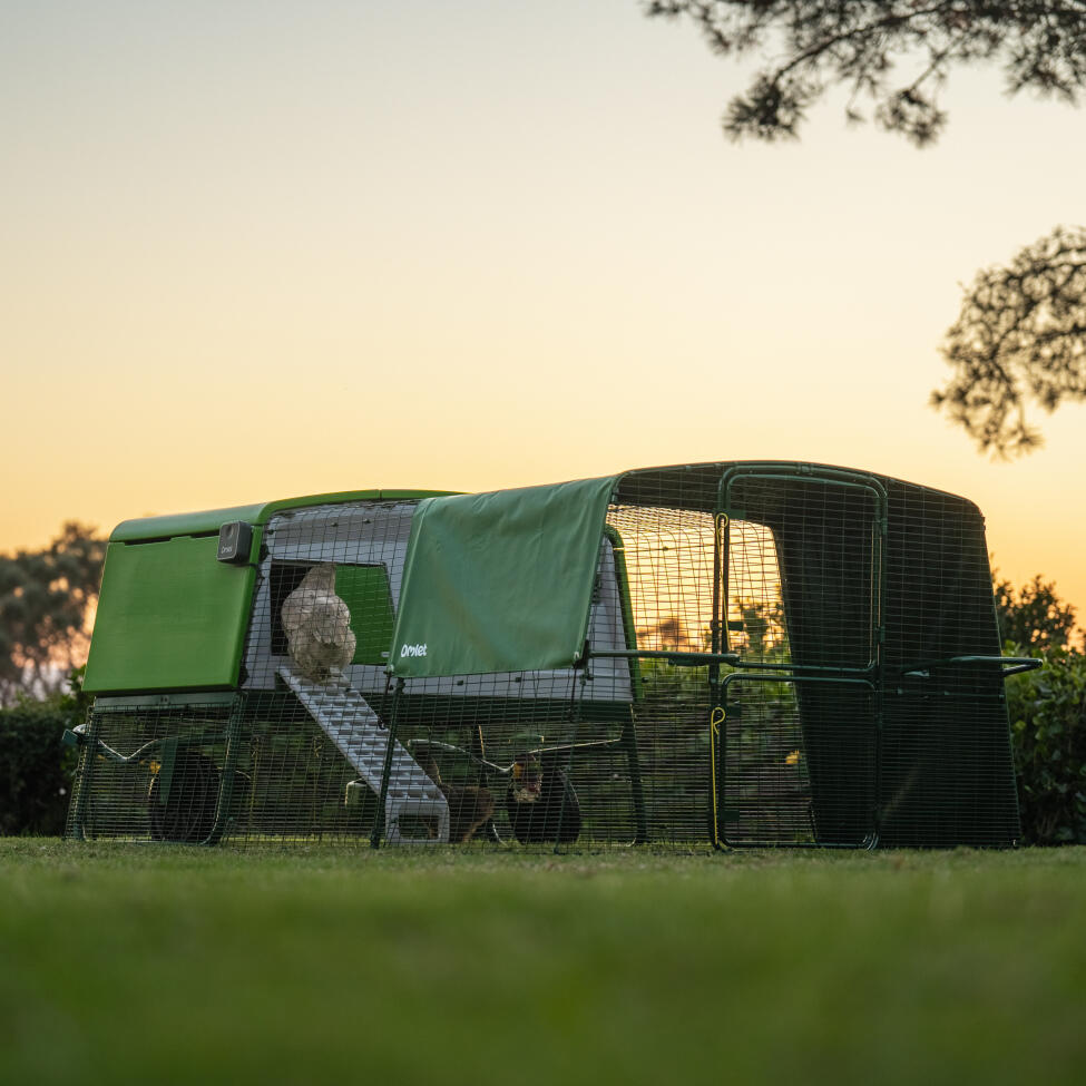 Un très grand poulailler Eglu pro installé dans un jardin