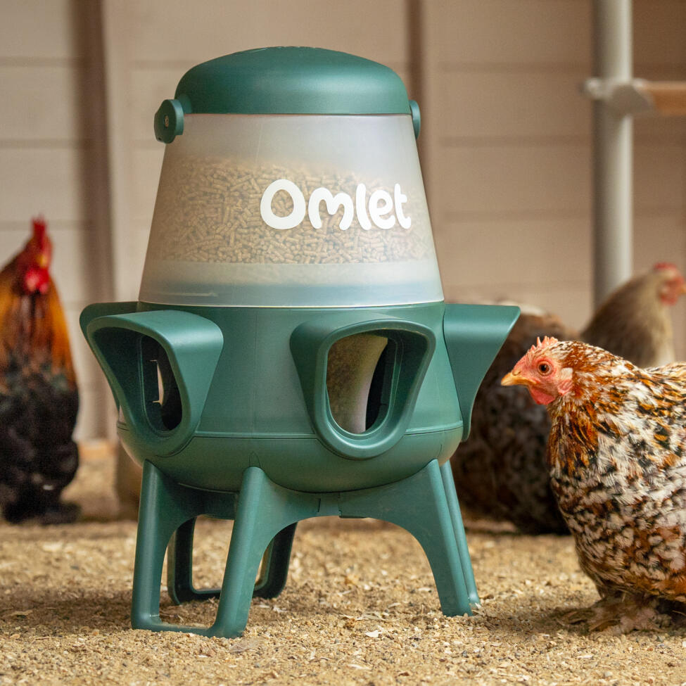 durable and sturdy no spill chicken feeder with visible feed level