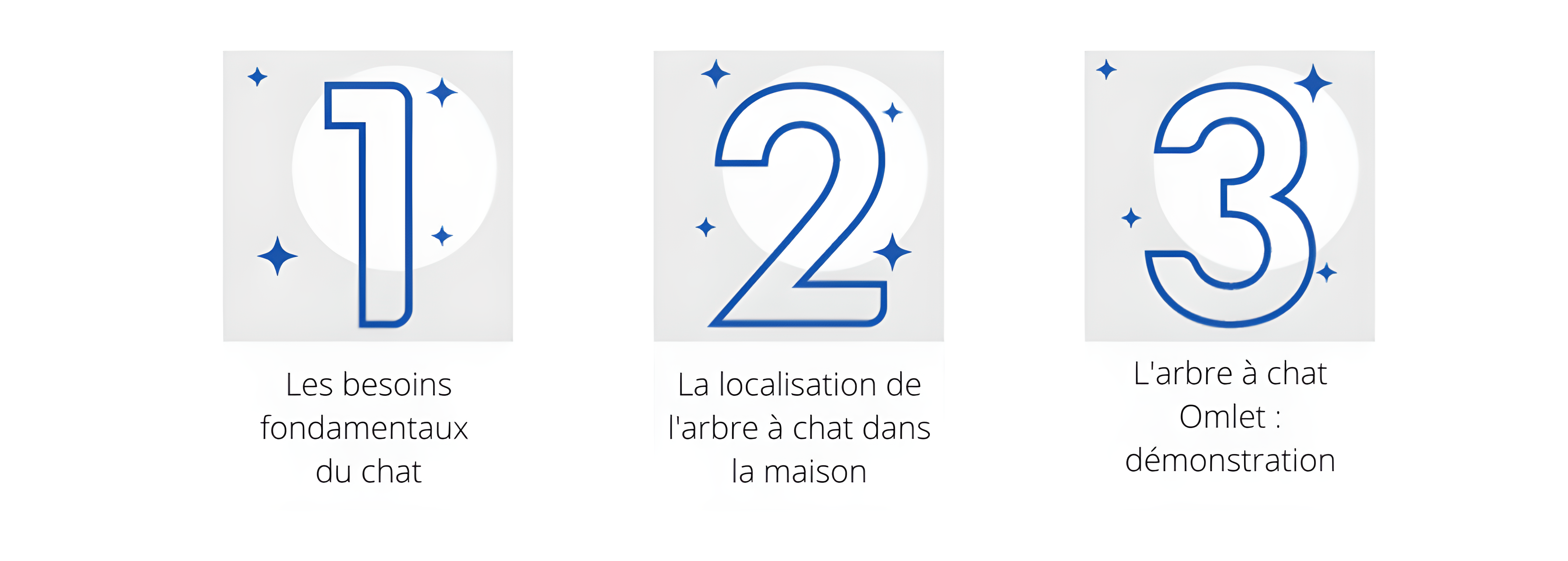 Elise Bernard Webinaire