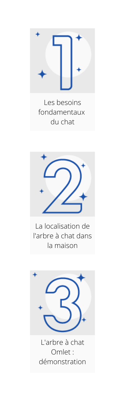 Elise Bernard Webinaire