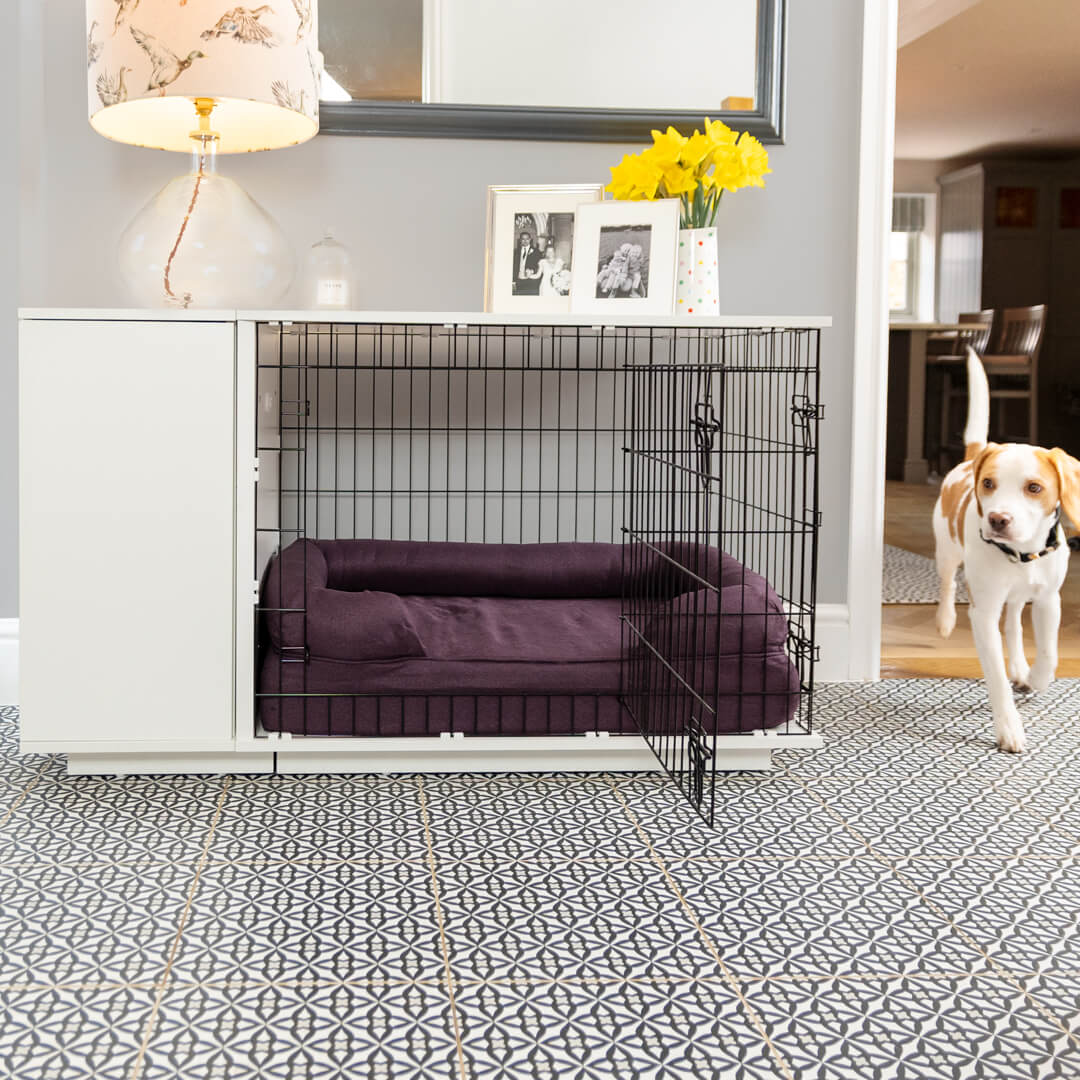 Living Room Best Place To Put Dog Crate In House Fido Studio Dog