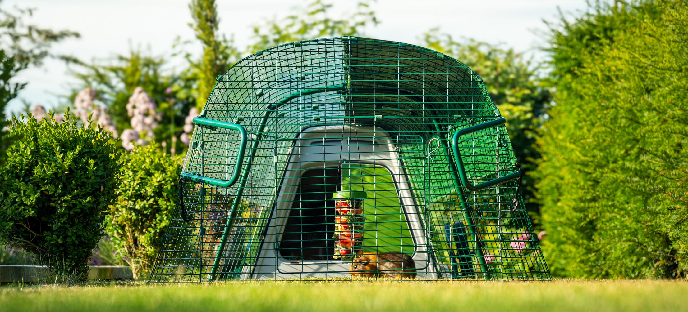 Eglu Go Guinea Pig Hutch Plastic House for Guinea Pigs Omlet