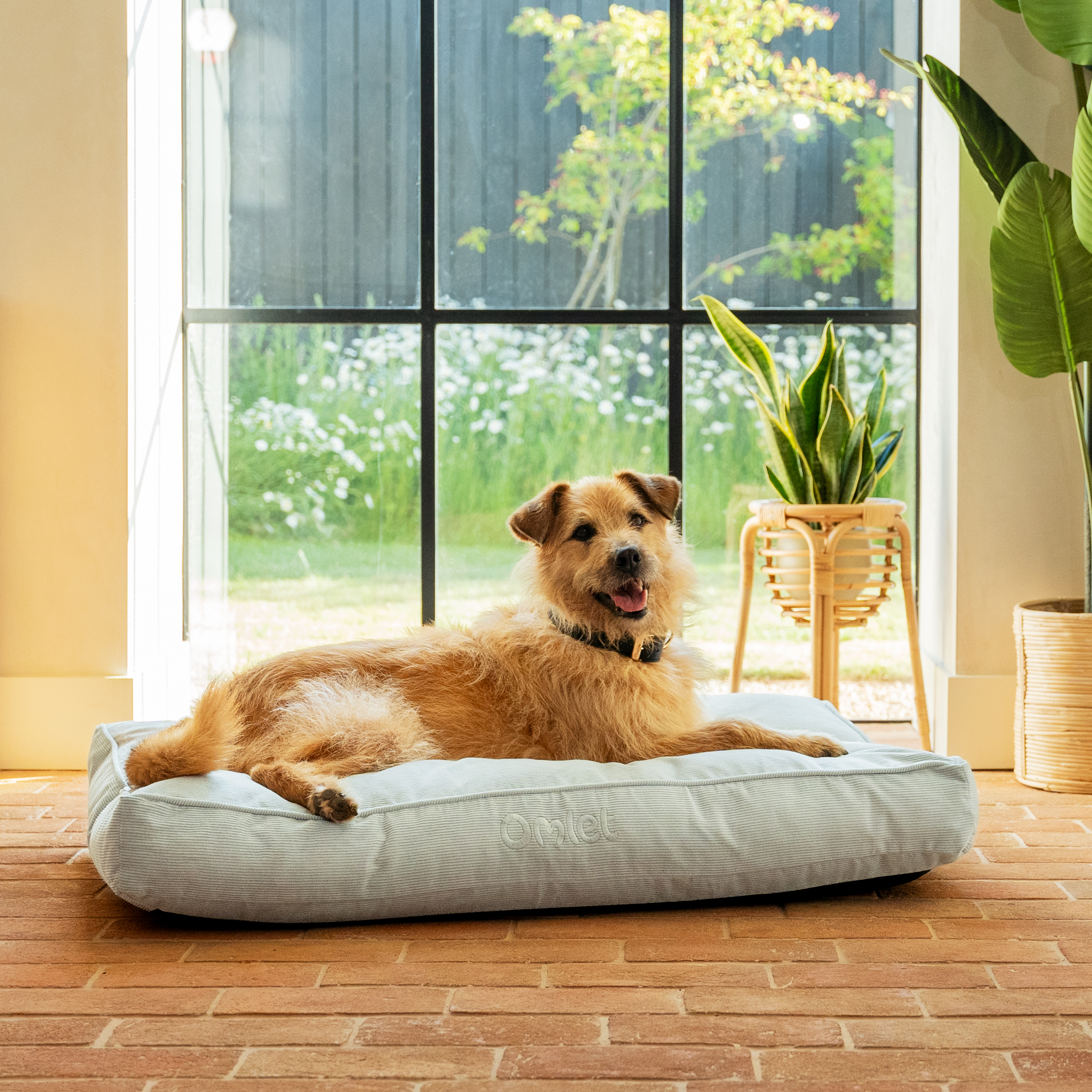 Cushion Dog Bed Omlet