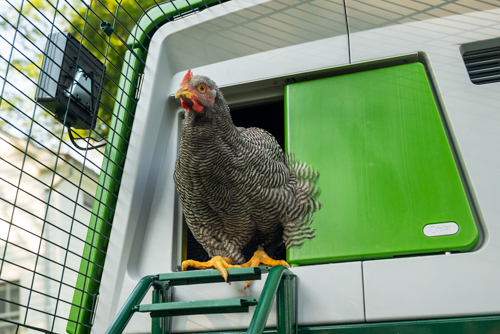 Omlet Smart Automatic Door — lucköppnare med WiFi