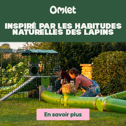 Inspire par les habitudes naturelles des lapins