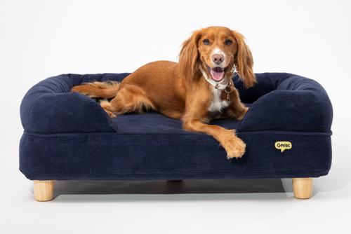 Memory Foam Polsterbetten fr Hunde | Omlet
