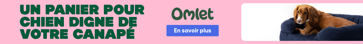 Un panier pour chien digne de votre canape