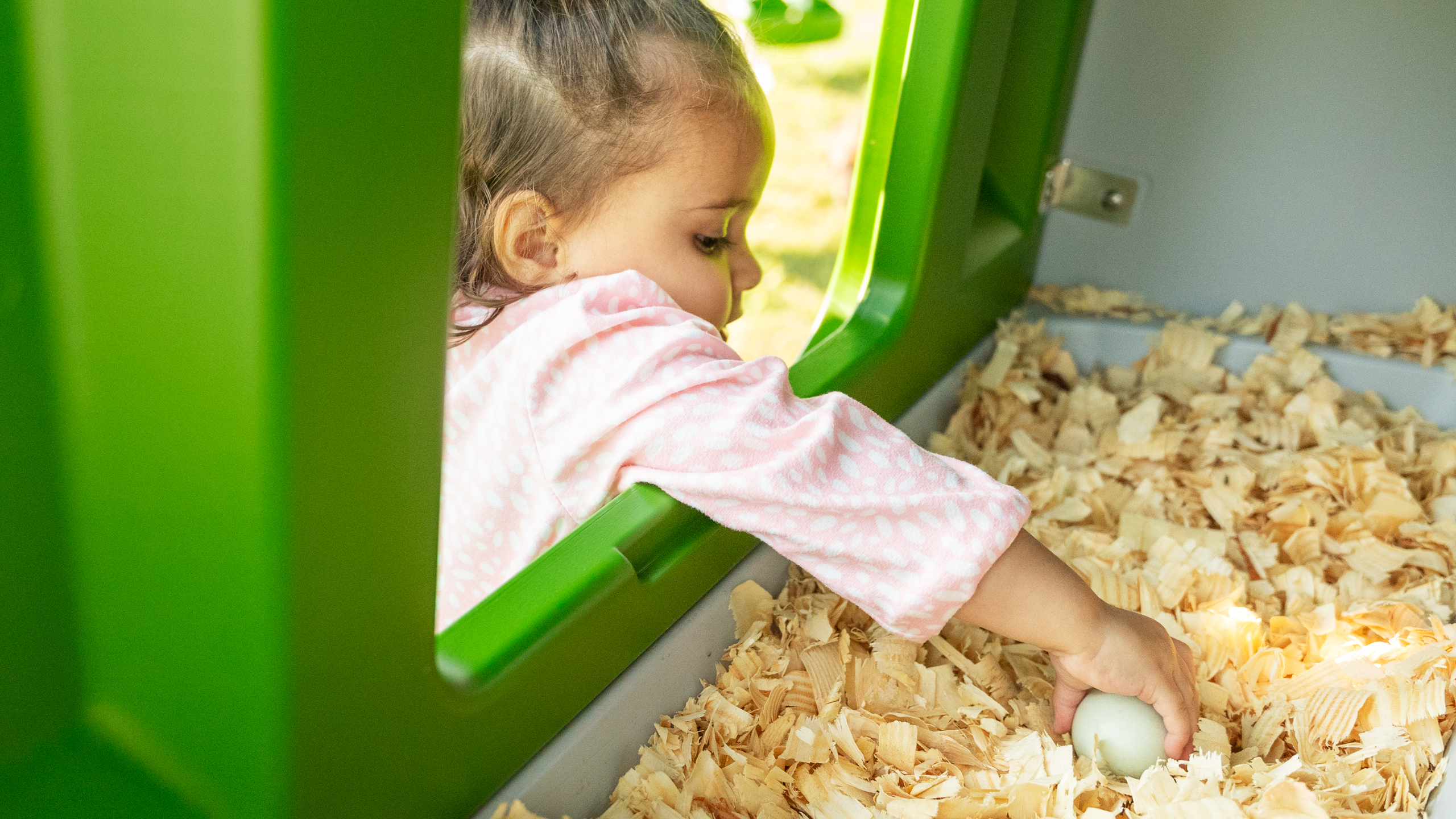 Child reaching into Eglu Cube chicken coop nesting box to collect eggs.