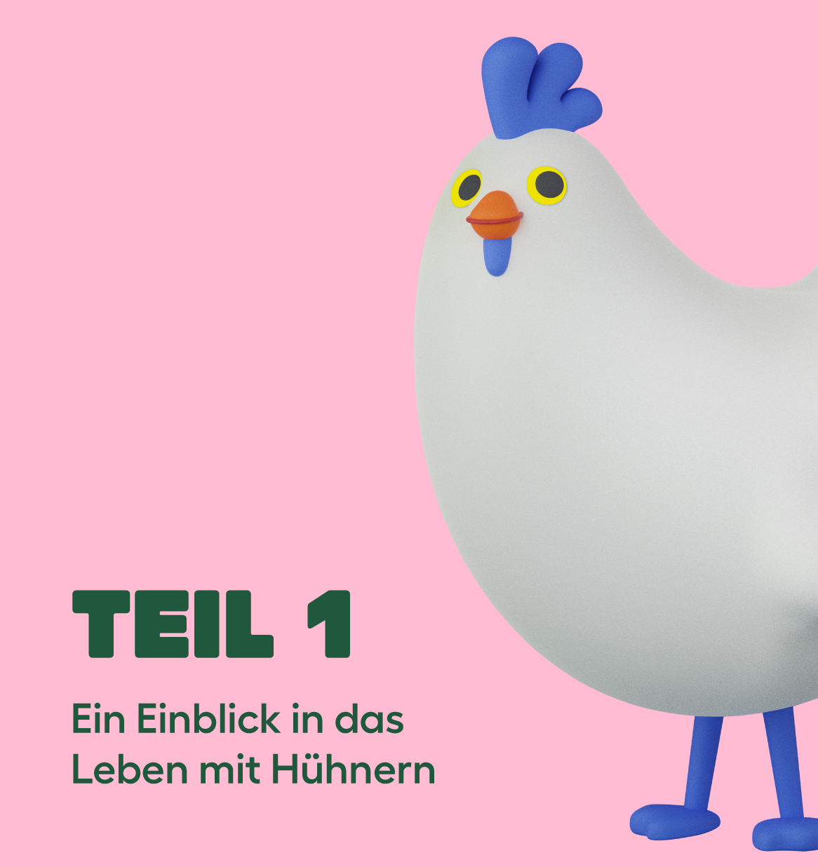 Hühnerhaltung landing page galerie karussell teil 1