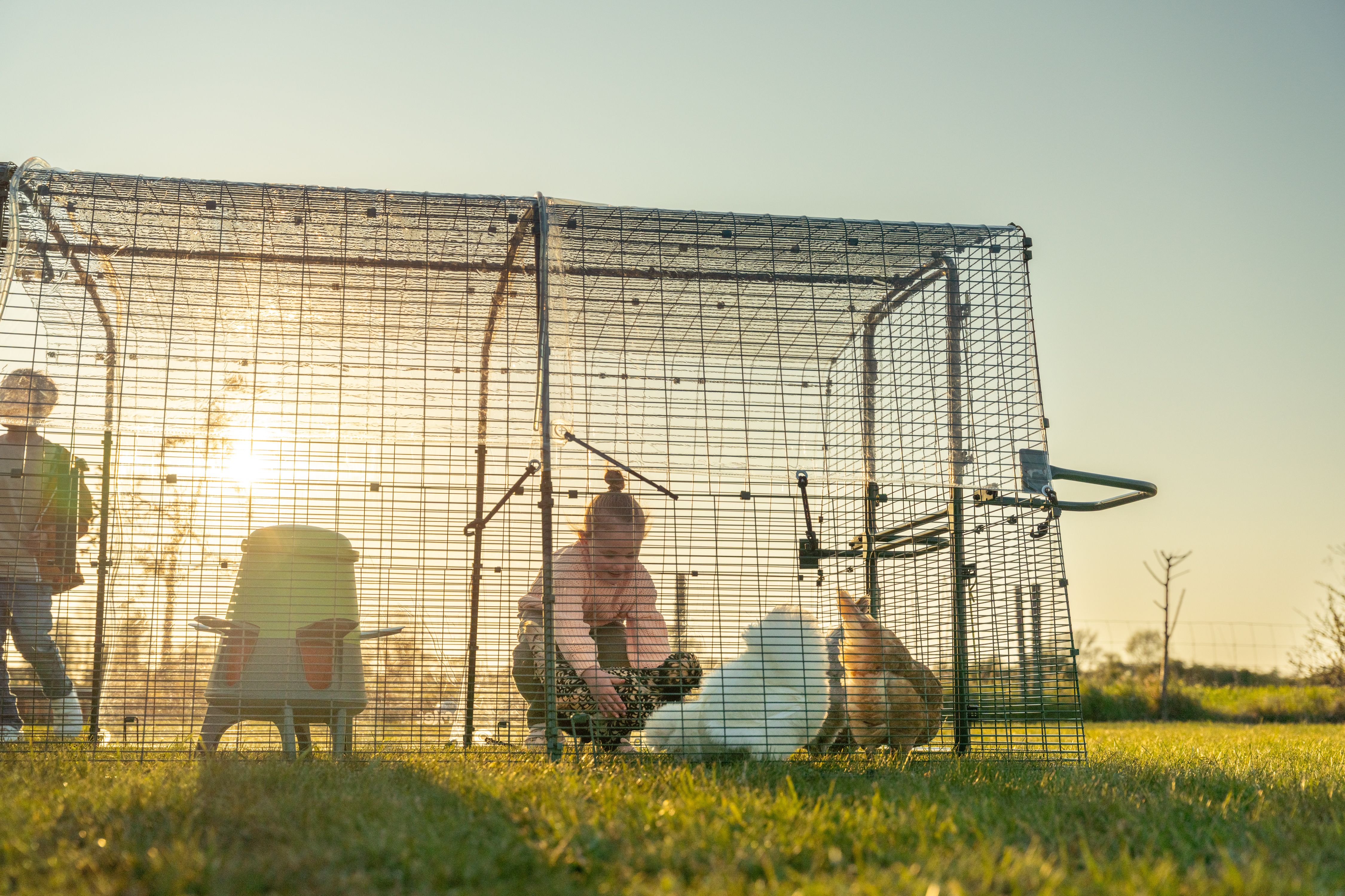 fille assise dans un enclos du poulailler eglu pro avec des poules et une mangeoire intelligente pour poules