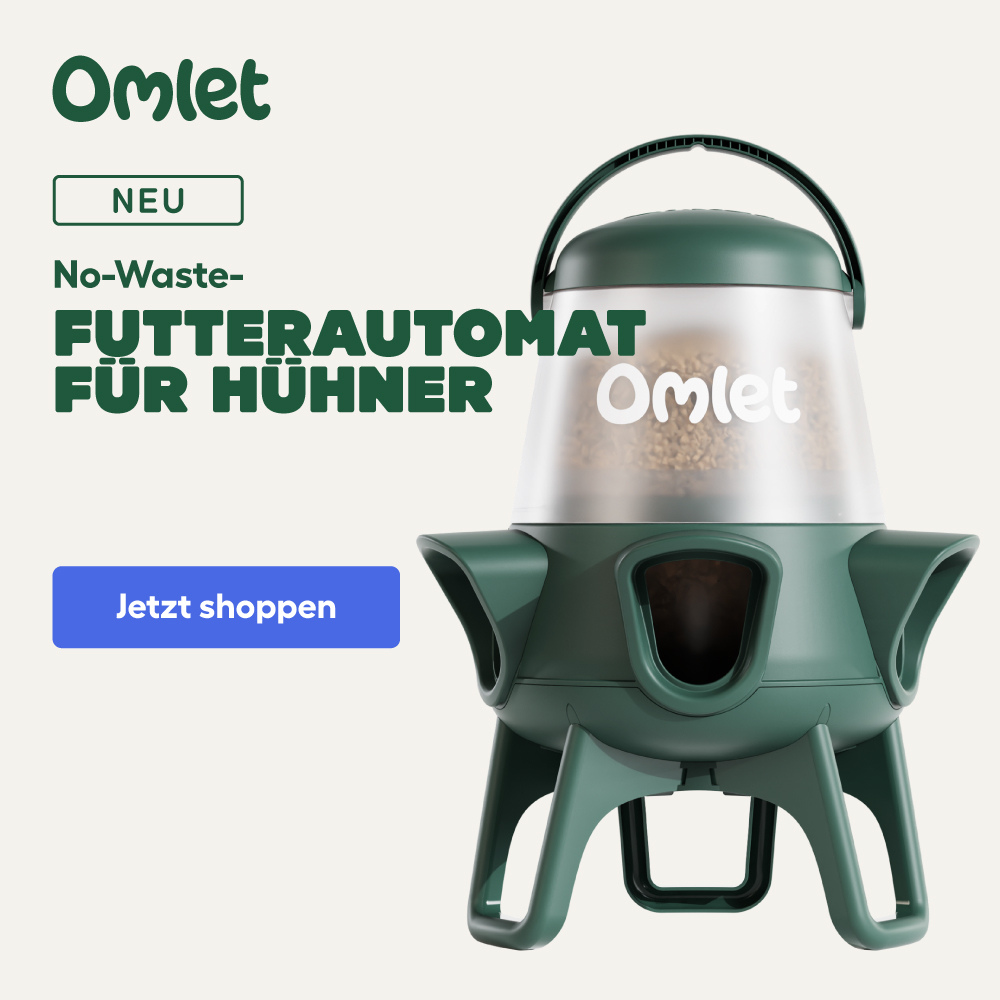 No Waste Chicken Feeder