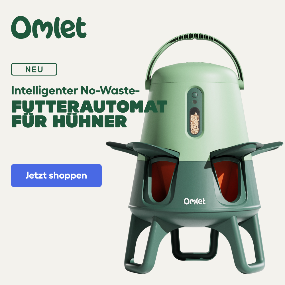 Smart No Waste Chicken Feeder