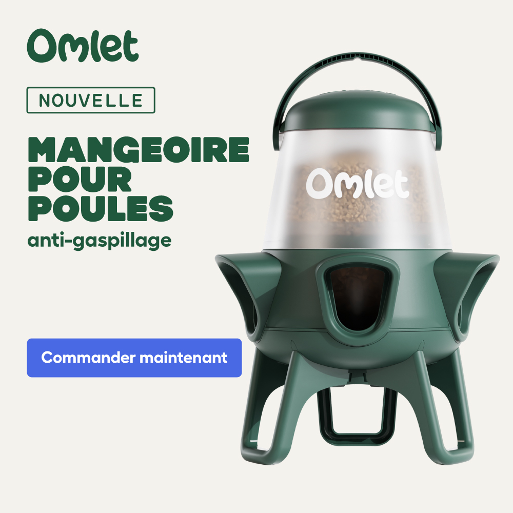 No Waste Chicken Feeder