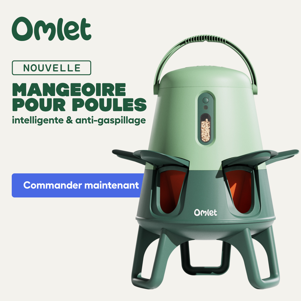 Smart No Waste Chicken Feeder