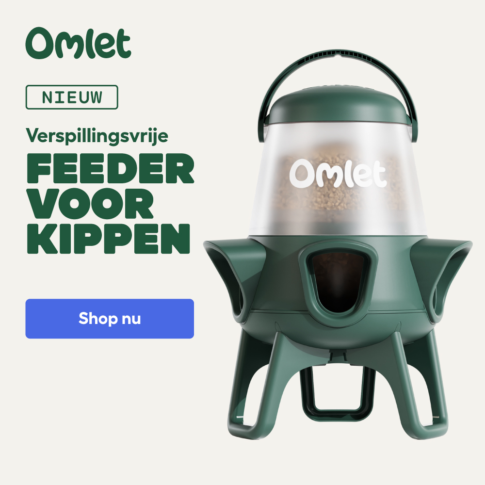 No Waste Chicken Feeder