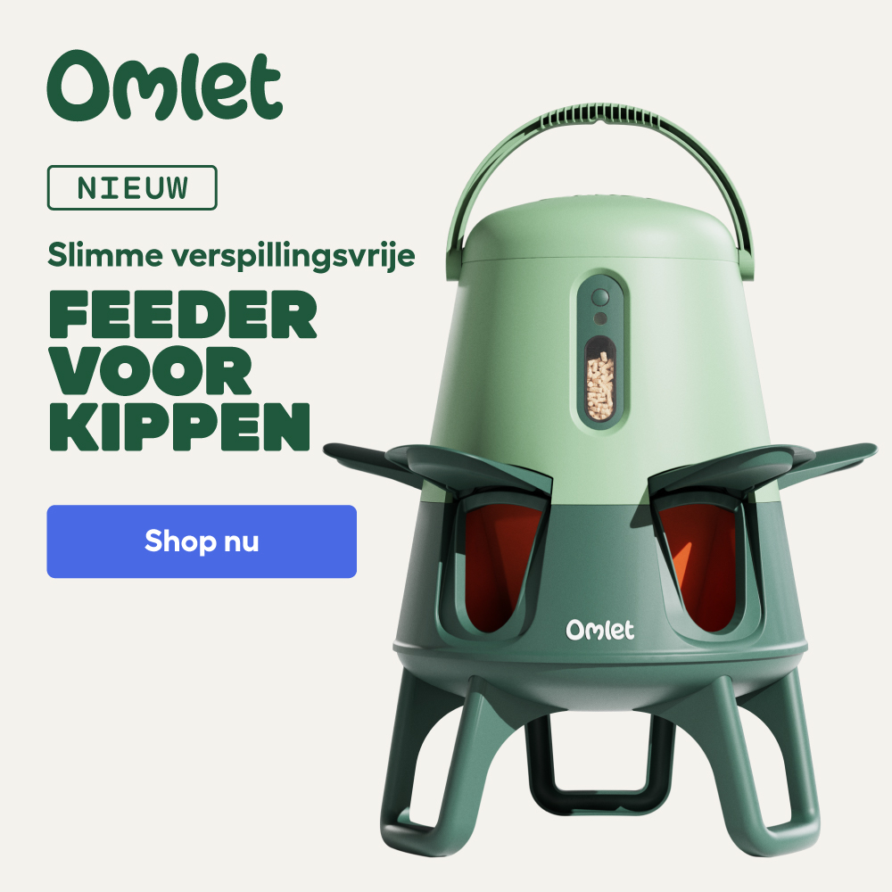 Smart No Waste Chicken Feeder