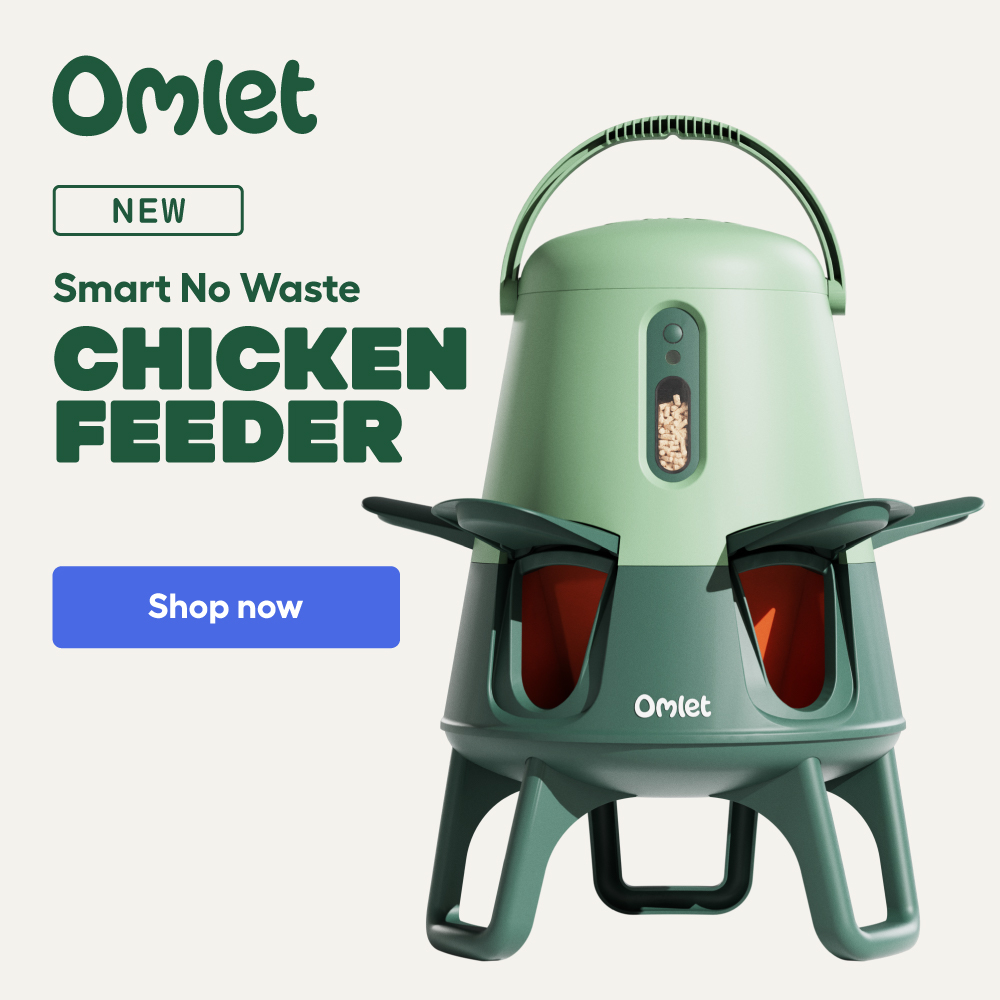 Smart No Waste Chicken Feeder