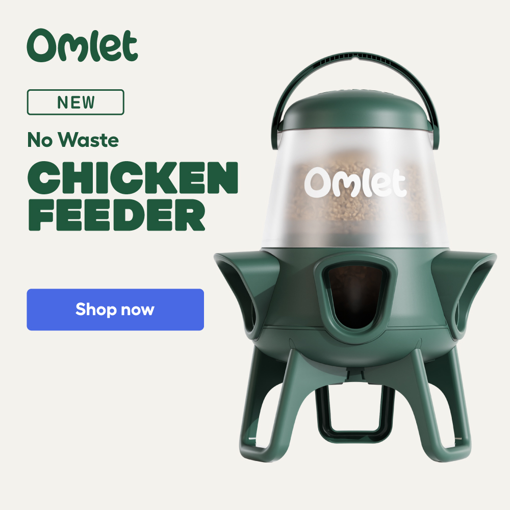 No Waste Chicken Feeder