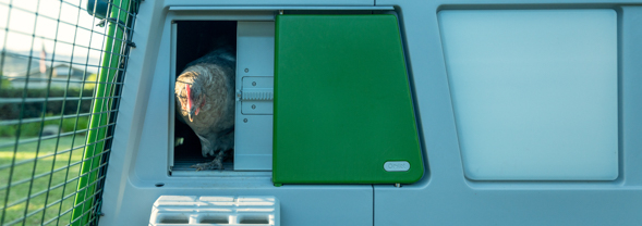 Omlet Eglu pro chicken coop with automatic door