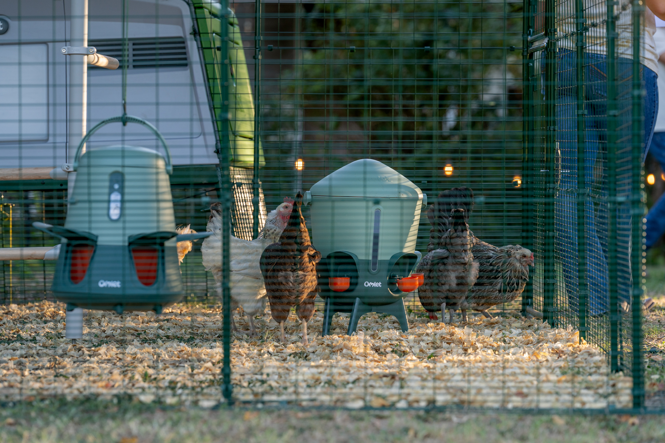 looking into a walk in run with a smart feeder and waterer