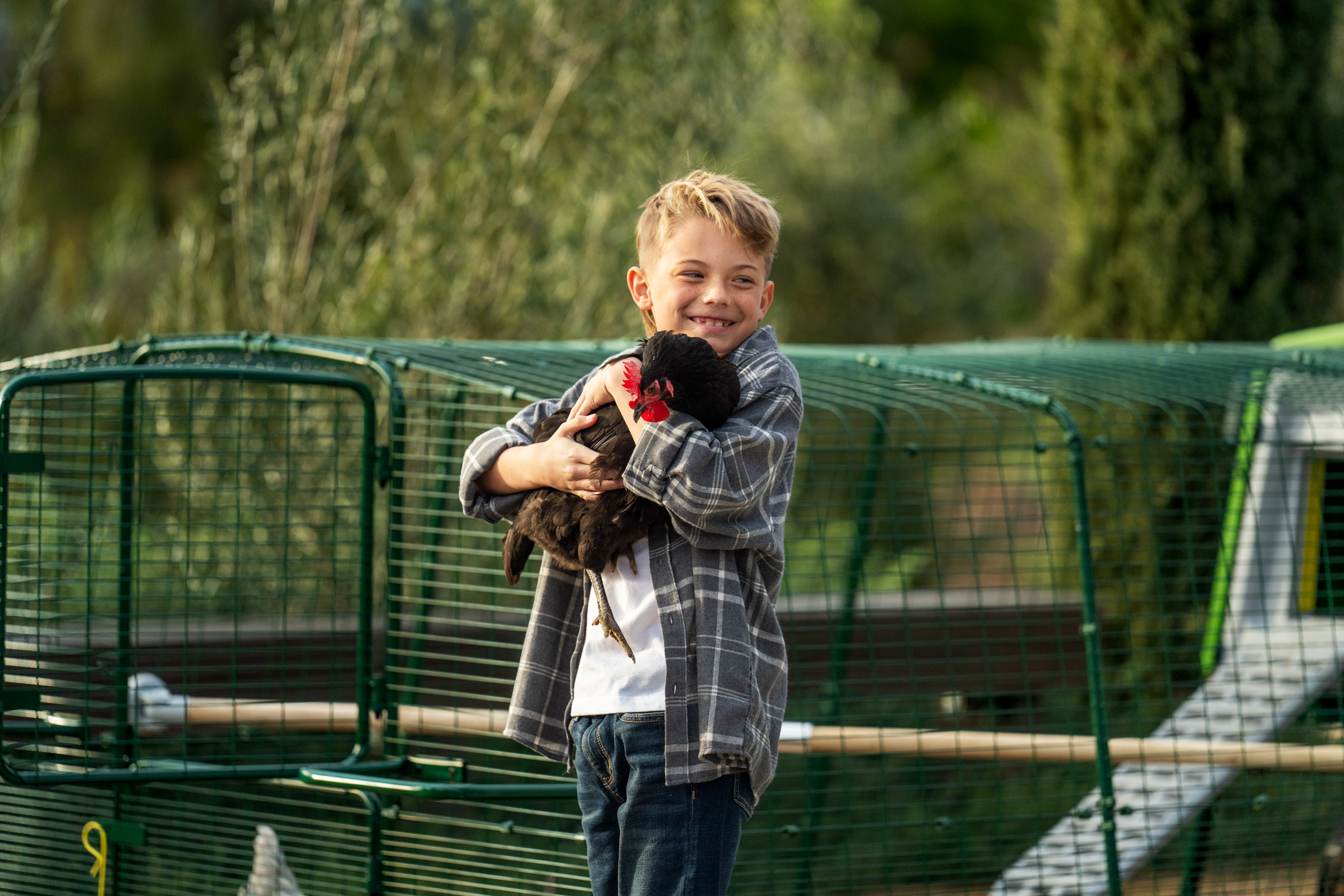 boy holding chicken in front of eglu pro