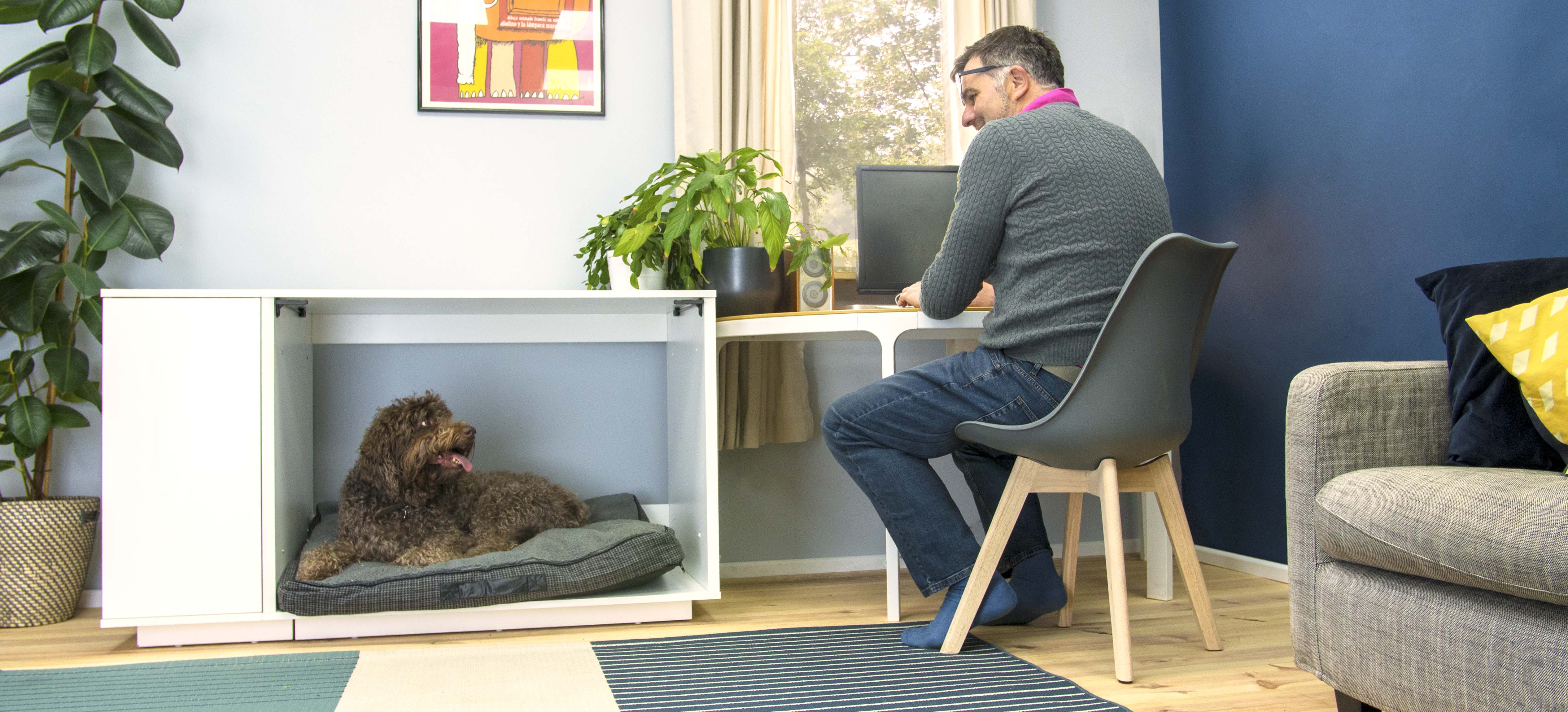 Dog Beds Dog Breeds That Can Be Left Alone In An Apartment Best