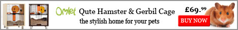 the stylish pet home