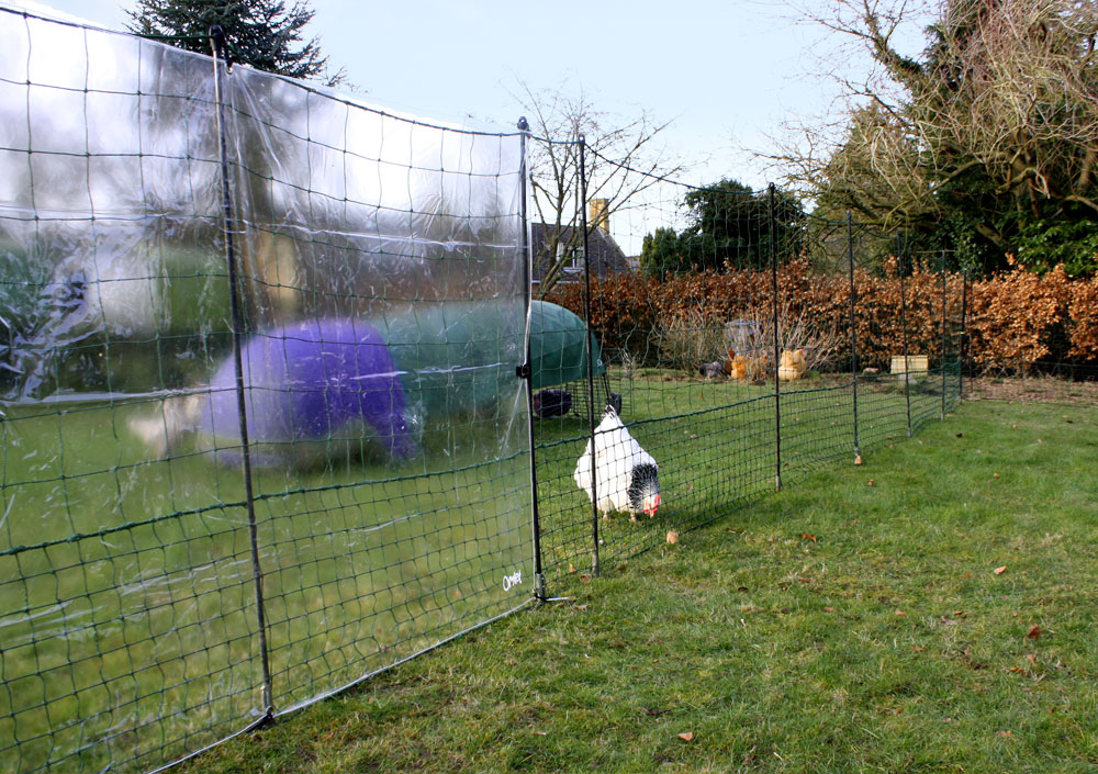 Image showcasing Clear Wind Break Kit for Chicken Fencing | Omlet