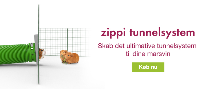 Zippi Guinea Pig Tunnel System Banner