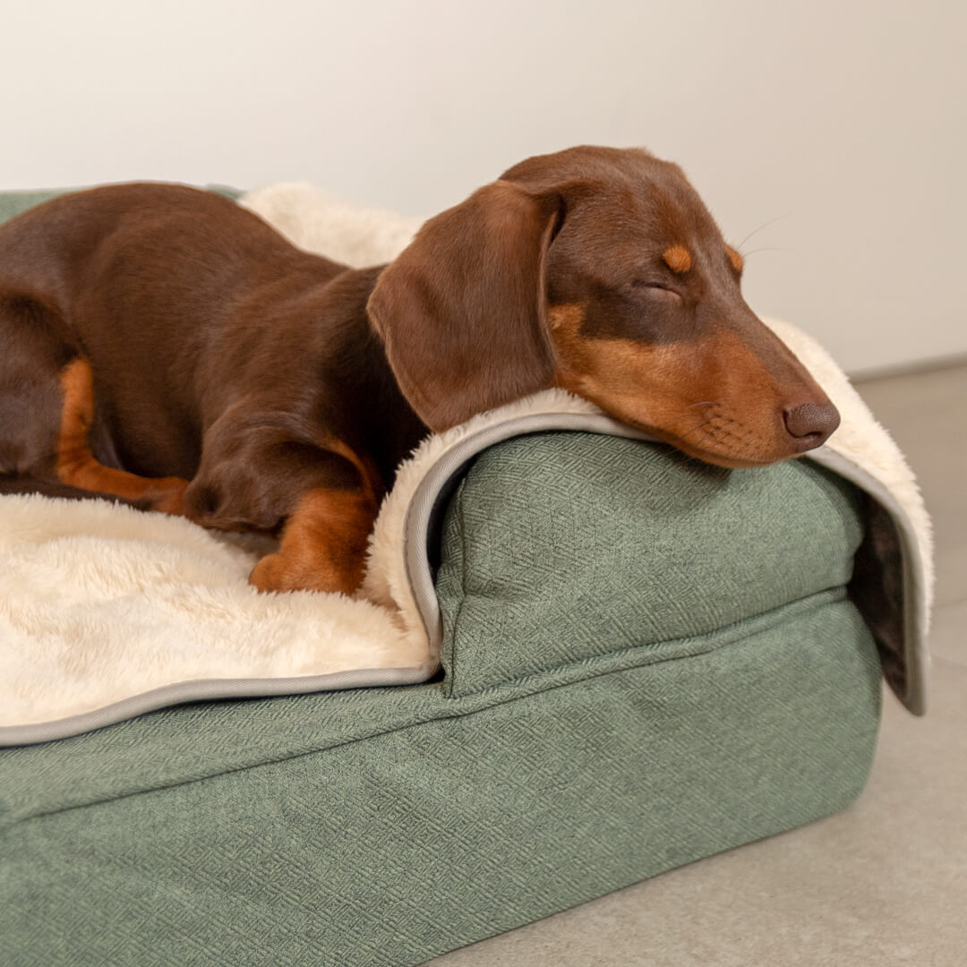 Luxury Dog Blanket Omlet
